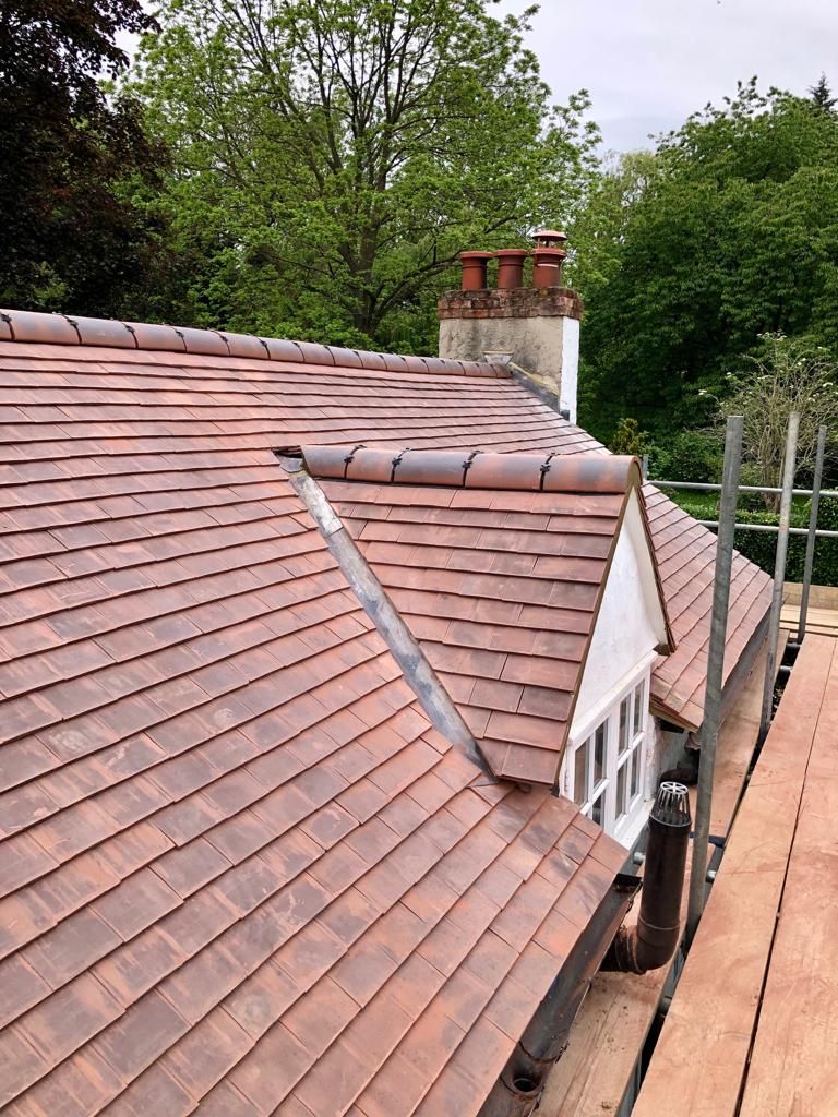 Professional roofing services